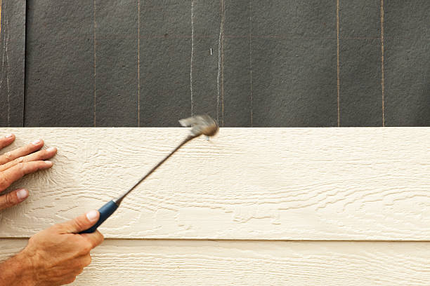 Best Siding Replacement  in Glencoe, FL